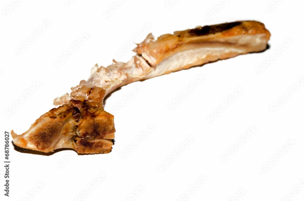 Fototapeta premium Pork bones