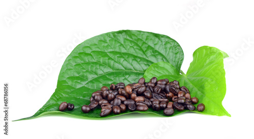 Fototapeta Naklejka Na Ścianę i Meble -  Coffee Beans leaf