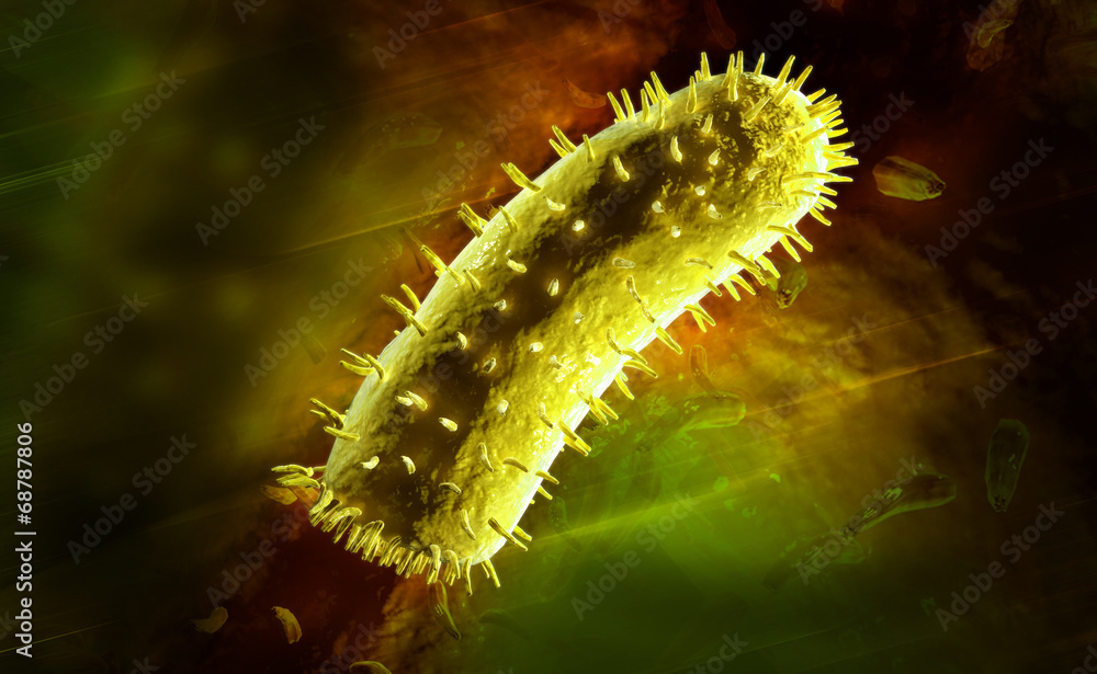 Fototapeta premium rabies virus