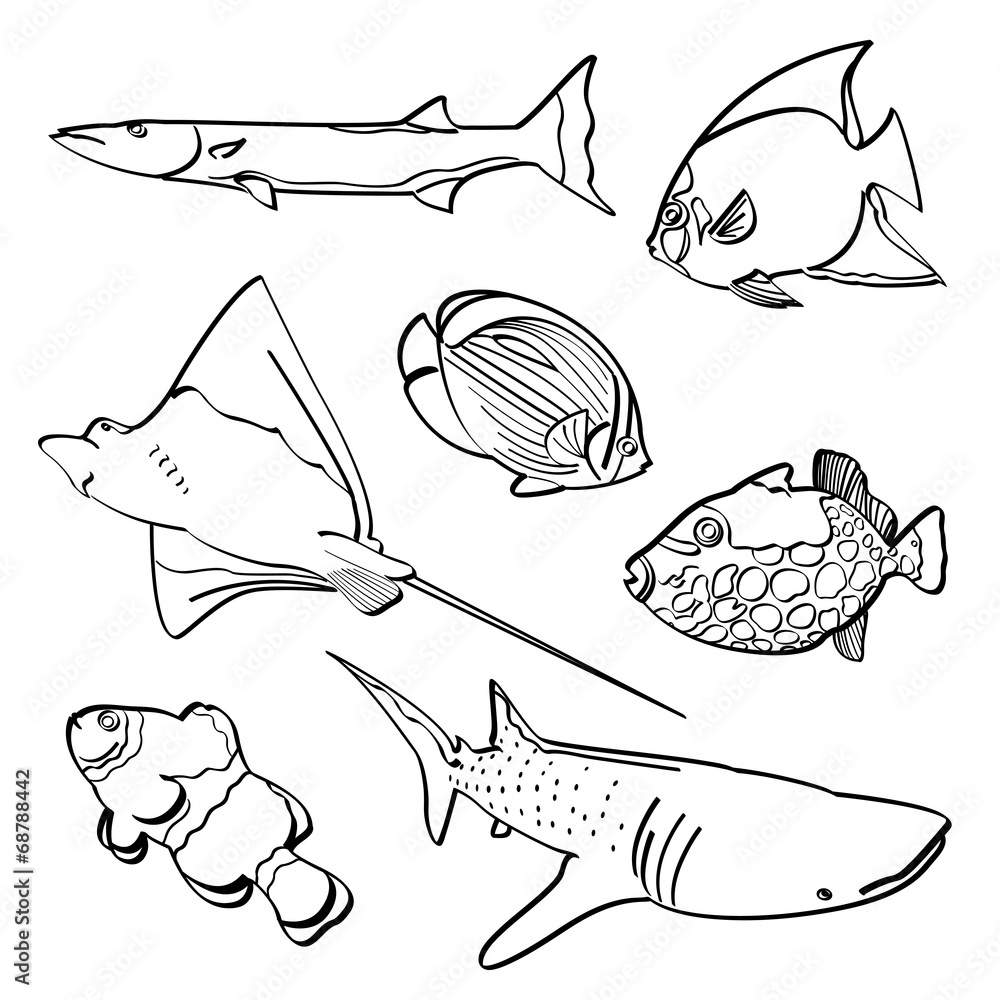 Fototapeta premium Fishes Collection