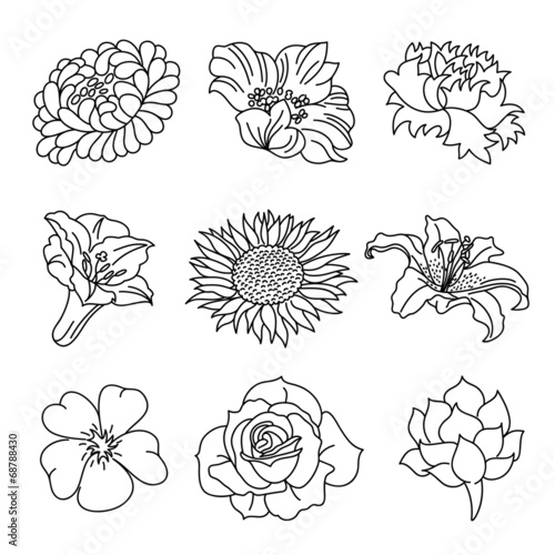 Fototapeta Naklejka Na Ścianę i Meble -  Flowers Collection