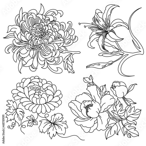 Fototapeta Naklejka Na Ścianę i Meble -  Flowers Collection