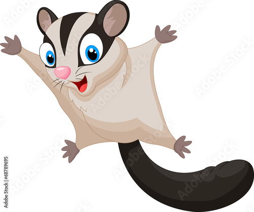 Sugar glider cartoon