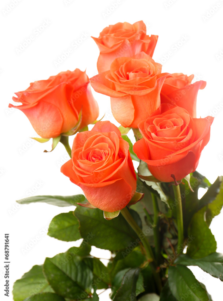 Bouquet of beautiful roses isolated on white Bouquet of beautiful roses isolated on white