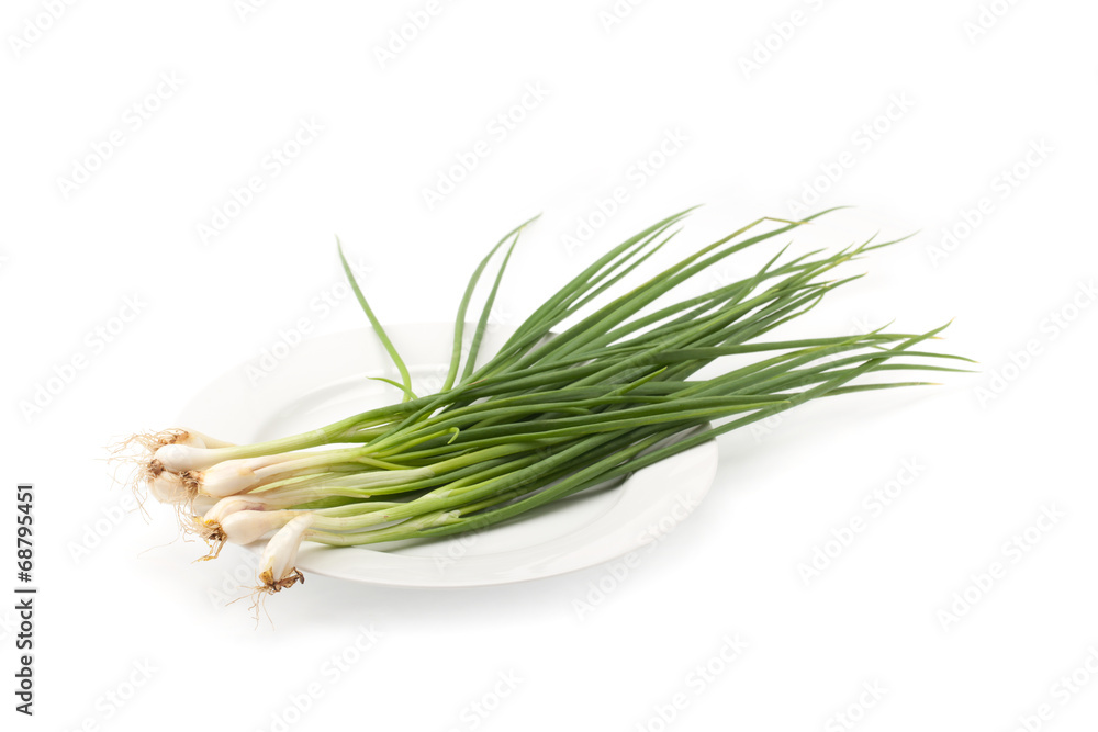 spring onion isolated