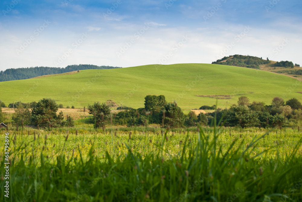 Fototapeta premium Green hills