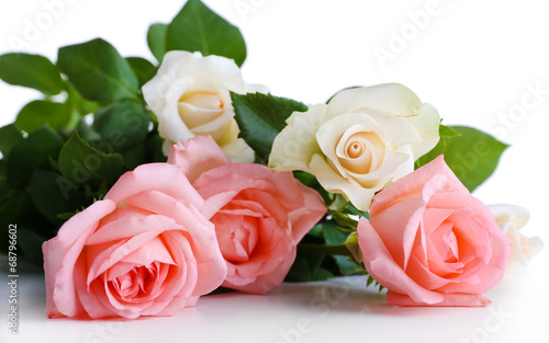 beautiful roses, isolated on white