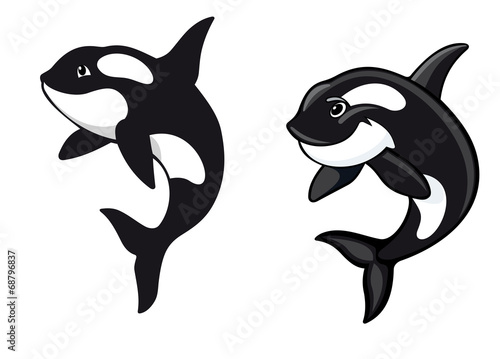 Killer whales