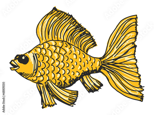goldfish