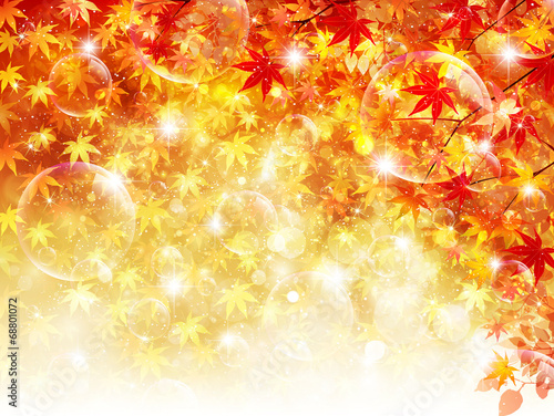 もみじ　紅葉　背景