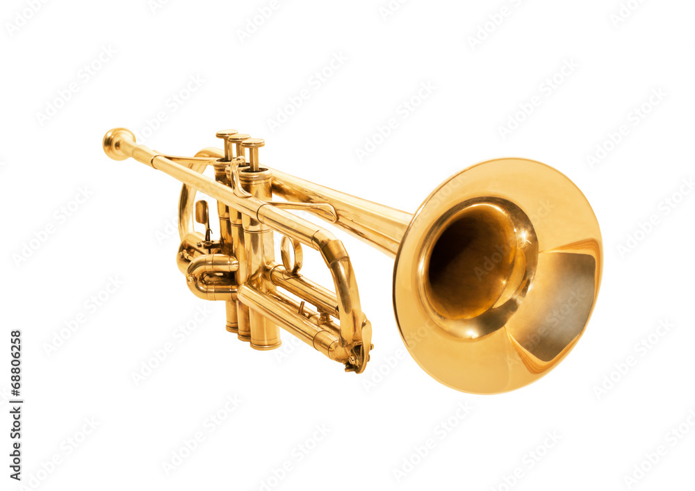 Fototapeta premium Trumpet isolated on a white