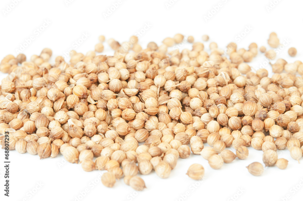 Coriander seed isolated with white background Coriander seed isolated with white background
