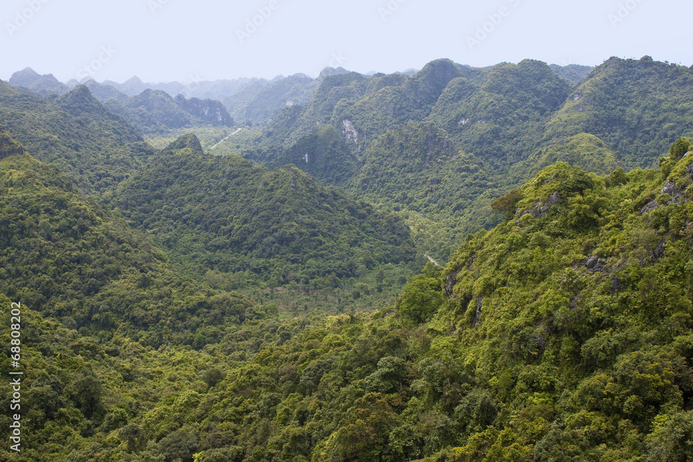 Fototapeta premium Panorama of Cat Ba National Park in Vietnam