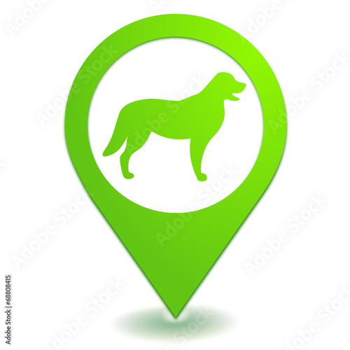 chien sur symbole localisation vert