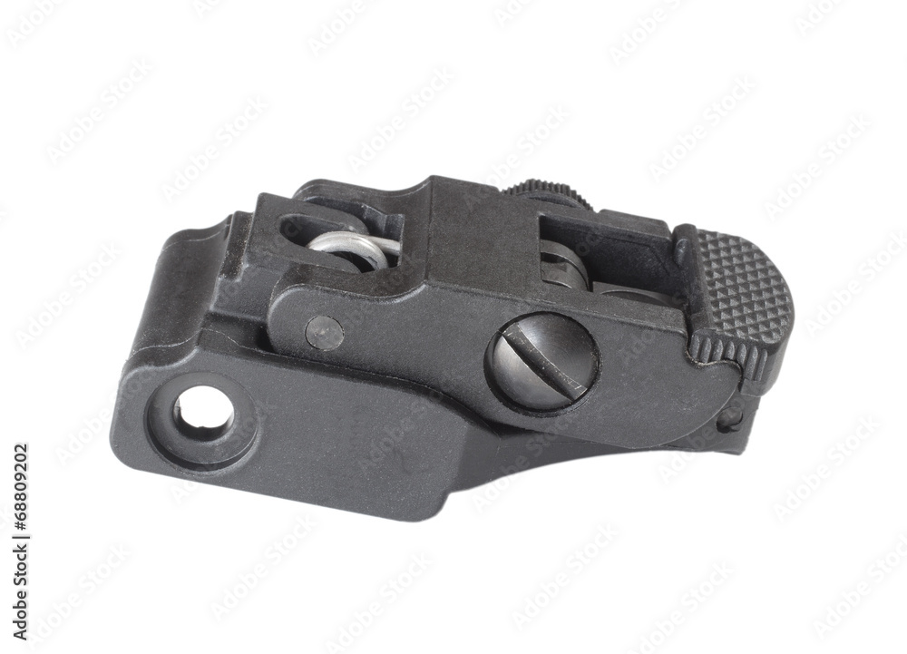 Backup sights Backup sights