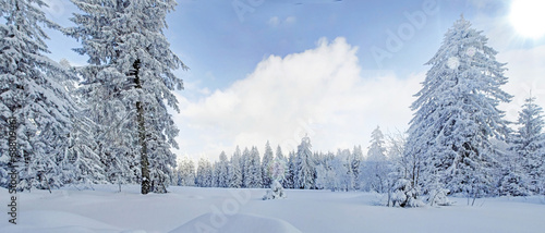 Winter im Schwarzwald © reinhard sester