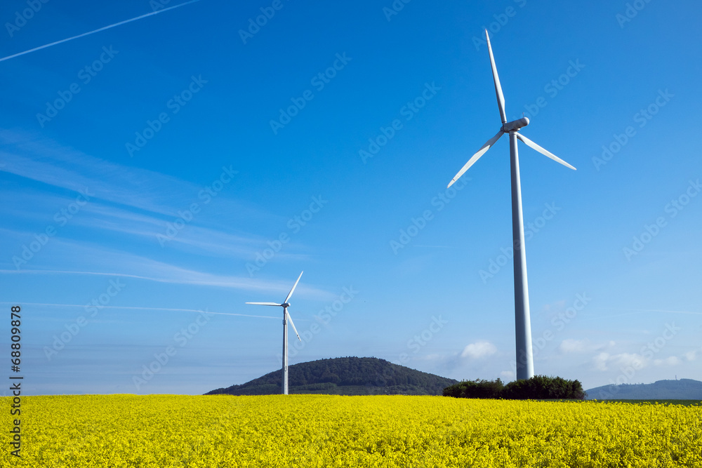 Windwheel and rapeseed in Germany Windwheel and rapeseed in Germany