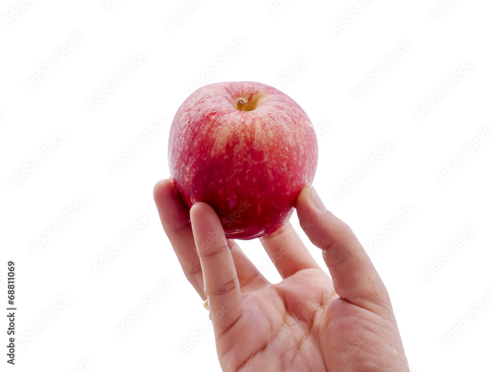 red apple in hand red apple in hand