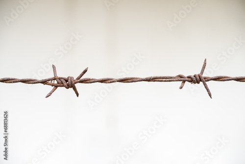 real barbed wire with some rust