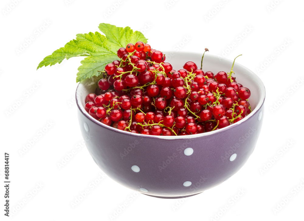 Red currant Red currant