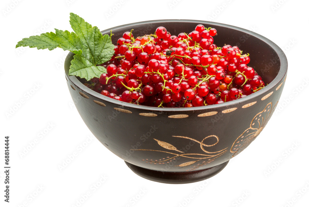 Red currant Red currant
