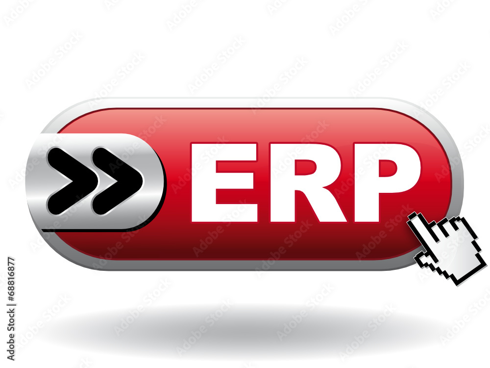 ERP ICON