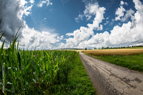 Hochsommer photo