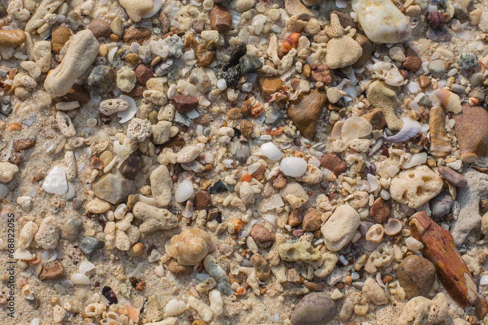 Sea shell and stone pieces texture Sea shell and stone pieces texture