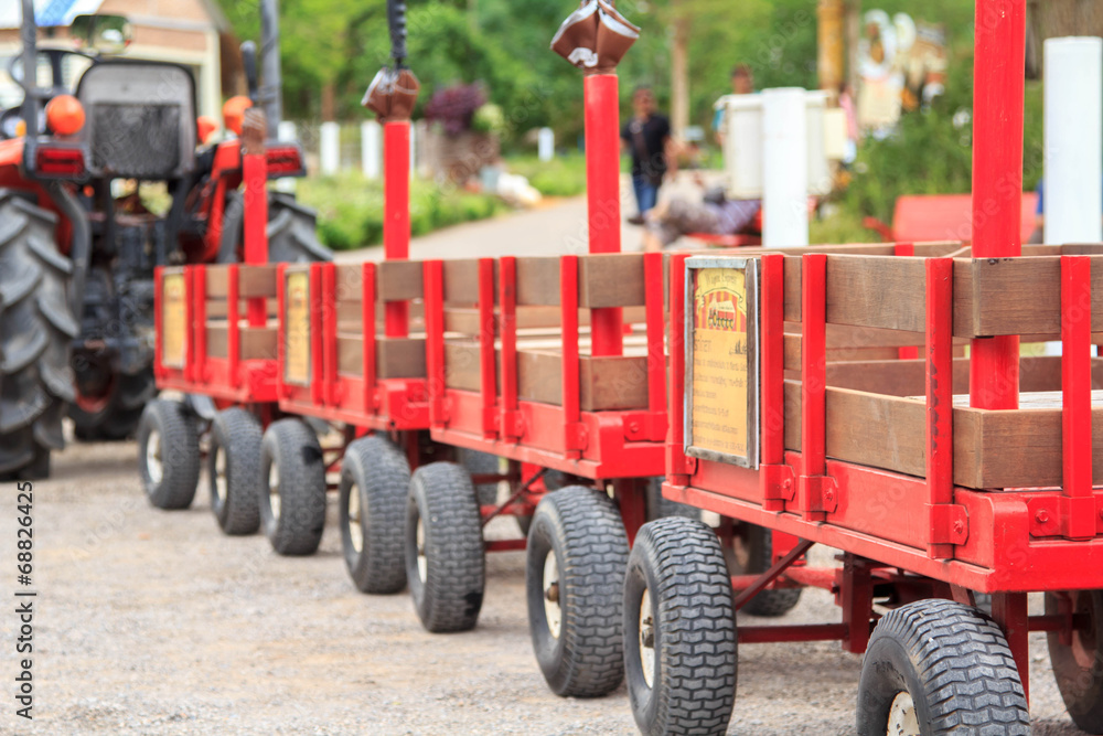 Fototapeta premium Car in sheep