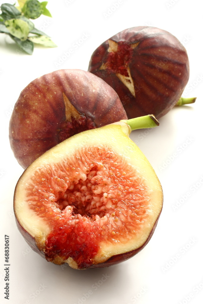 いちじく 断面 白背景 Stock 写真 Adobe Stock いちじく 断面 白背景 Stock 写真 Adobe Stock