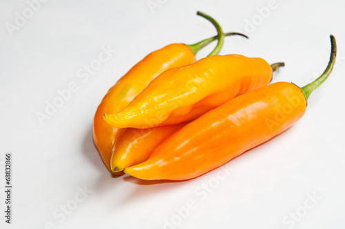 Hot chili 