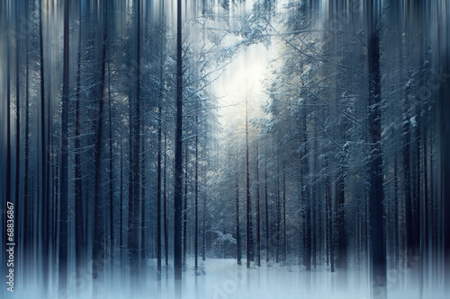 magical winter forest, a fairy tale, mystery #68836867