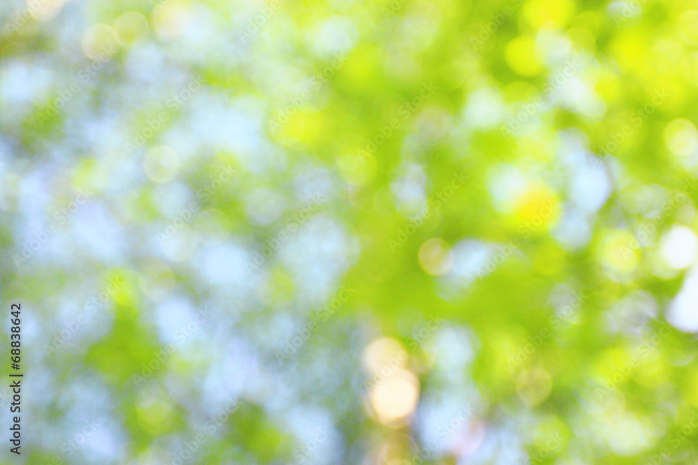 Fototapeta premium Summer green background blur bokeh highlights