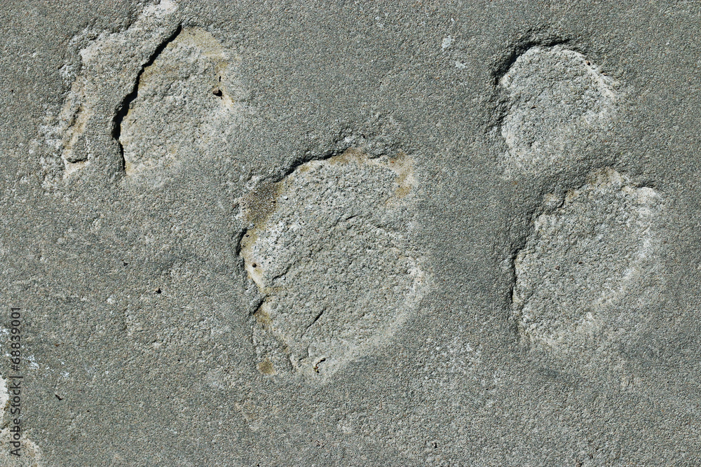 Naklejka premium texture of granite stone