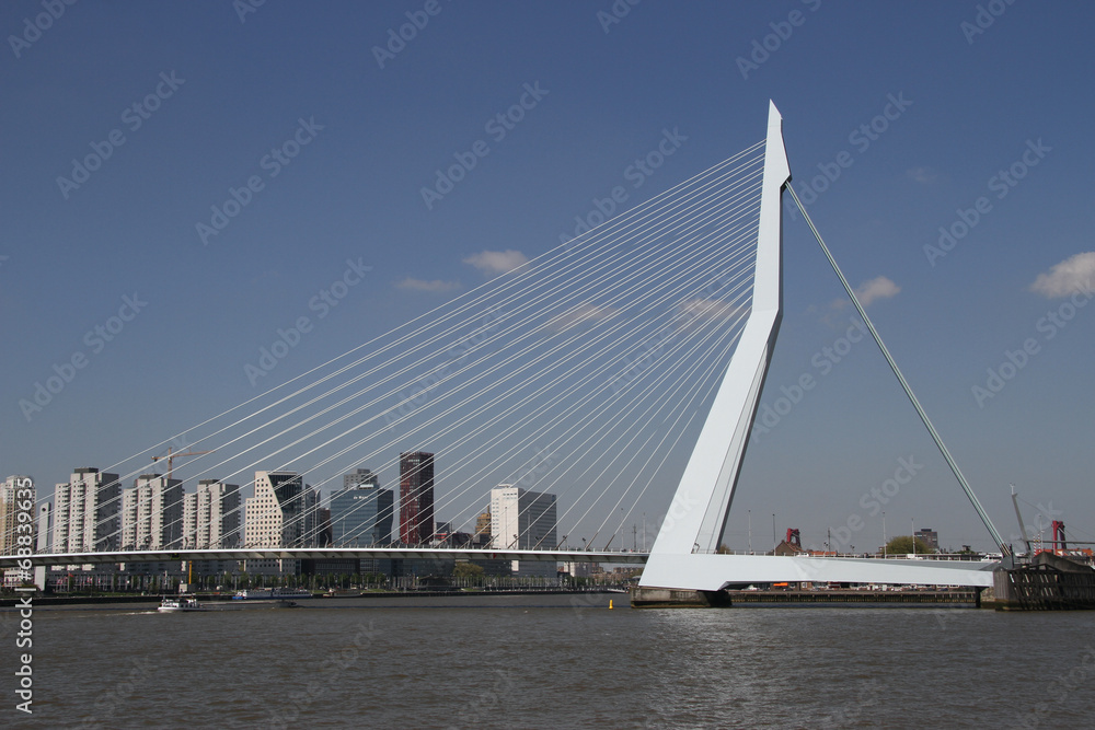 Obraz premium Erasmus Bridge in Rotterdam