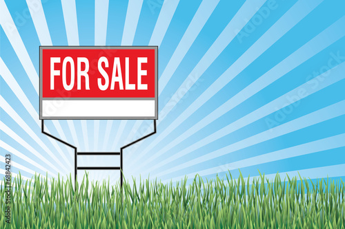 For Sale Sign In Grass