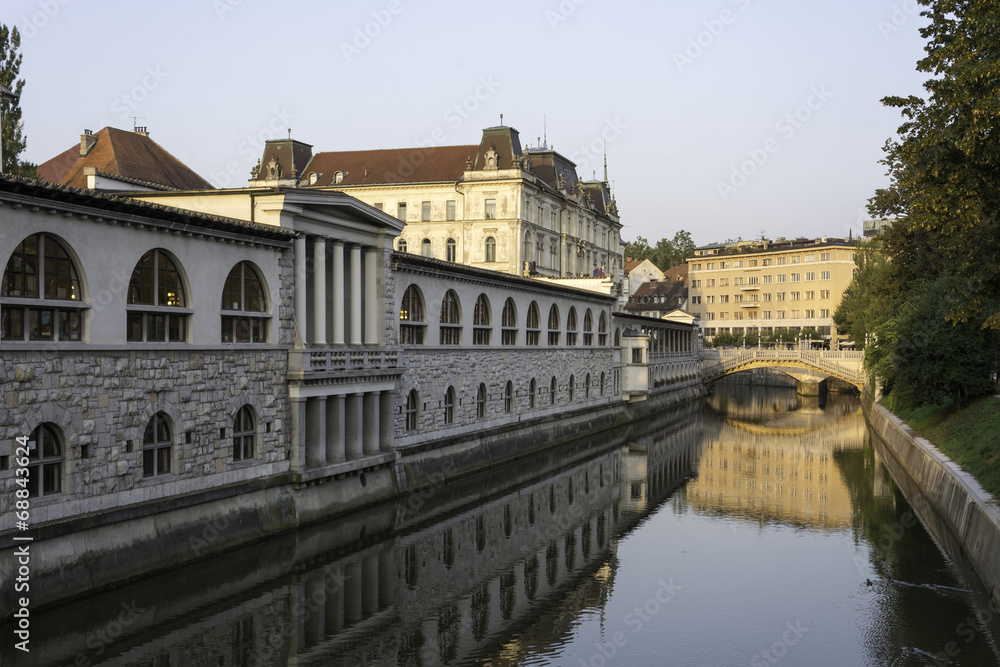 Ljubljanica river with marketplace and three bridges