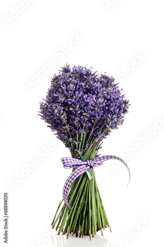 mazzo di fiori recisi di lavanda