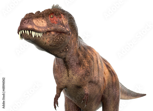 tyrannosaurus casual close up © DM7
