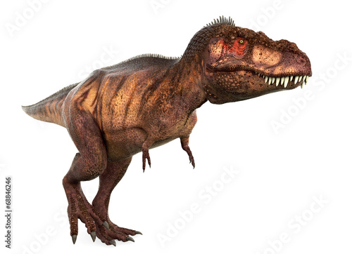 tyrannosaurus the predator © DM7