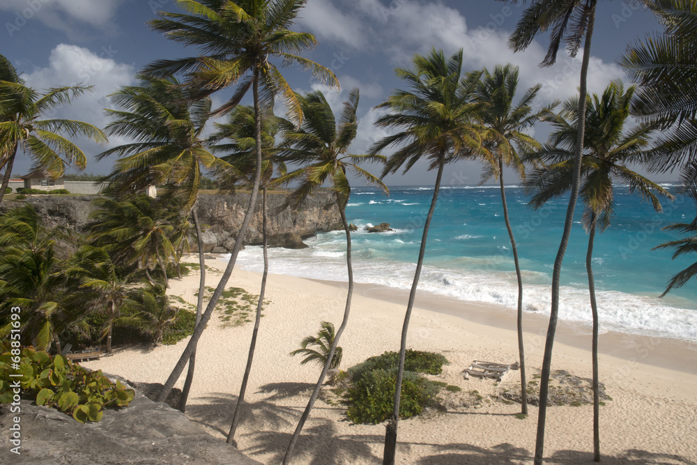 Beach at Barbados