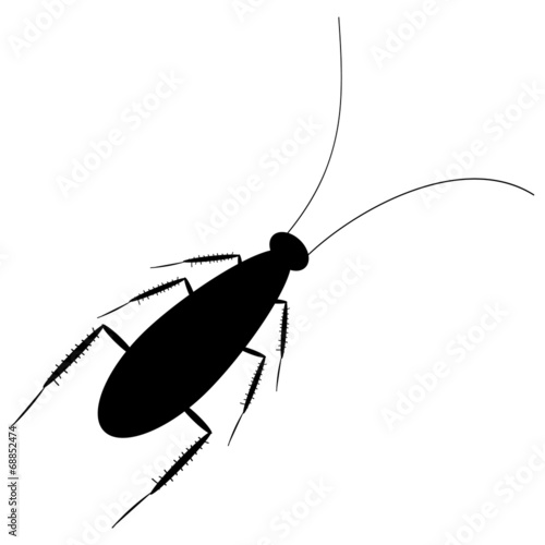 Cockroach icon