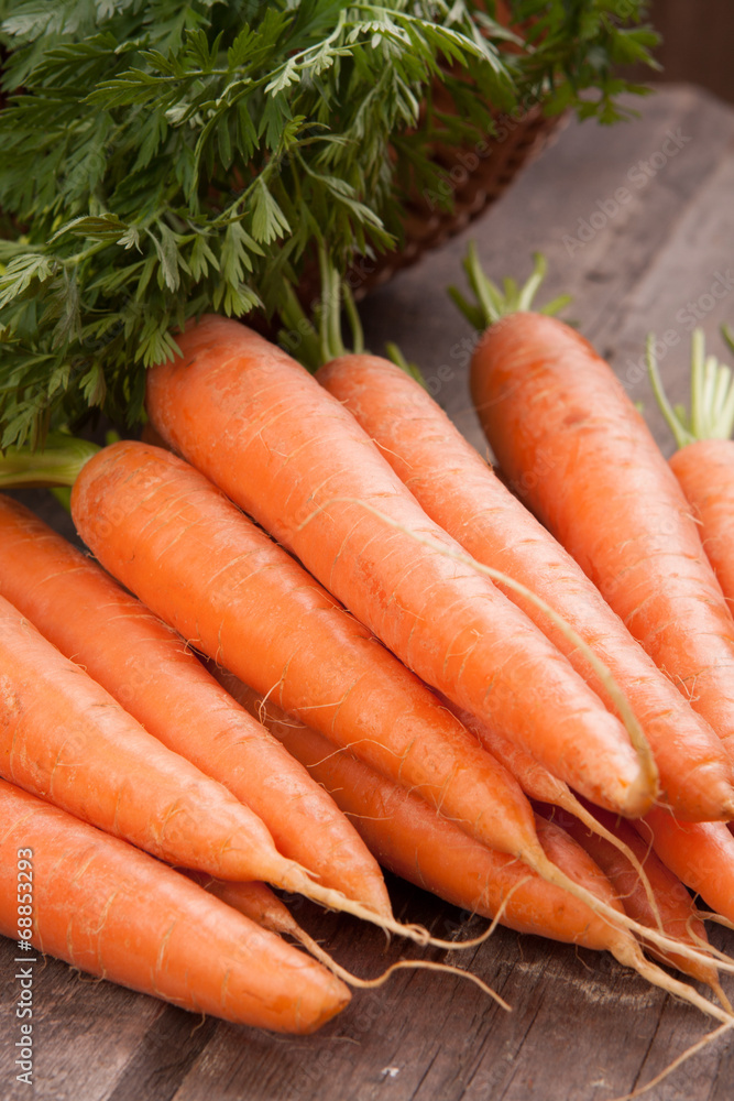 fresh carrot bunch on grungy wooden background fresh carrot bunch on grungy wooden background