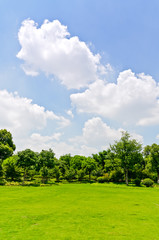 Outdoor lawn, blue sky and white cloud background