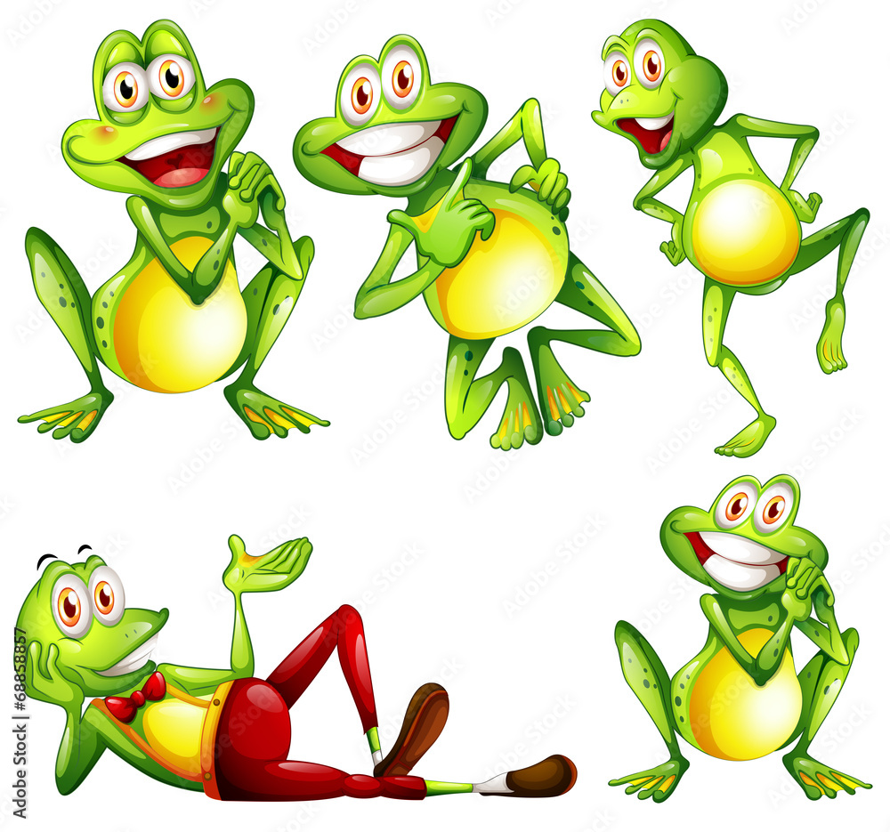 Fototapeta premium Frogs