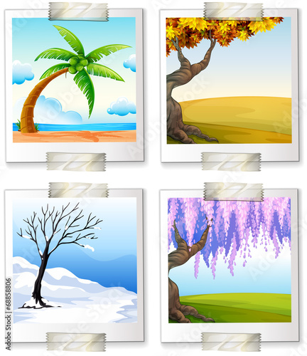 Different images of the four seaons