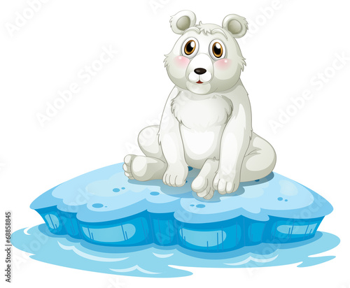 A polar bear above the iceberg