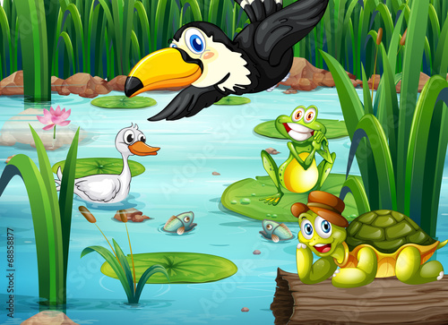 A pond with animals