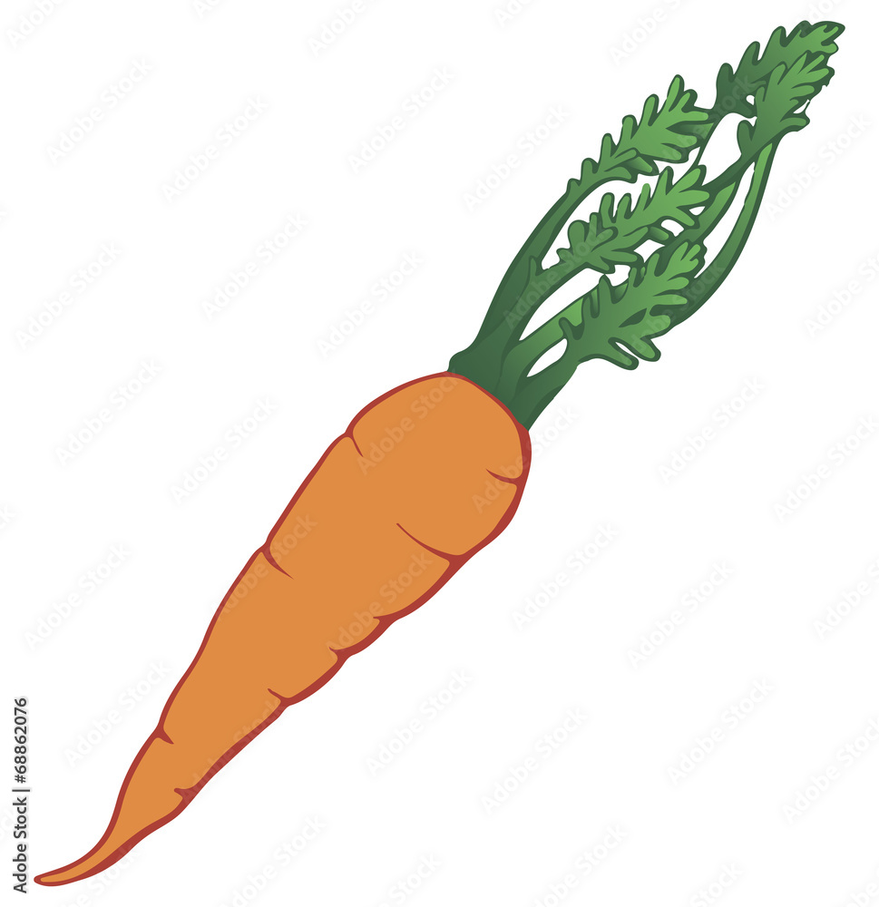 Raw carrots Raw carrots