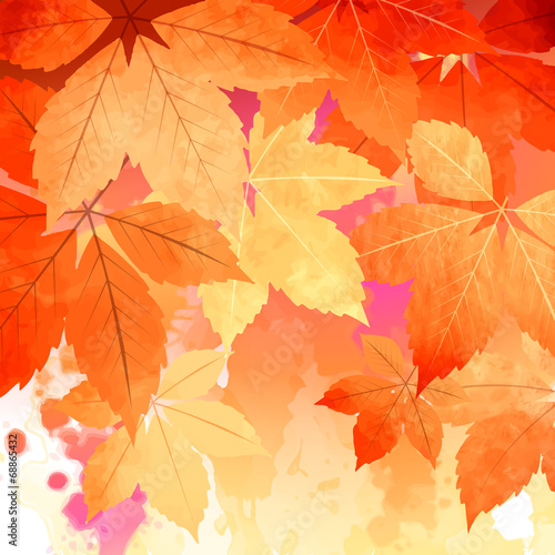 Autumn Vector Watercolor Fall Leaves